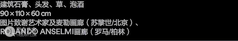 项目|8组艺术家将参与2025-2026阿那亚冬季驻留公共艺术单元 阿那亚艺术中心 崇真艺客